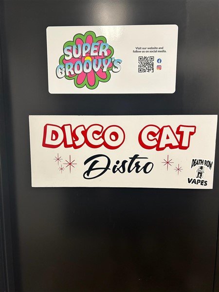 Disco Cat party archive photo 25